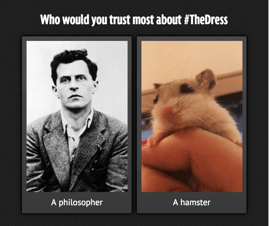 vote_wittgenstein