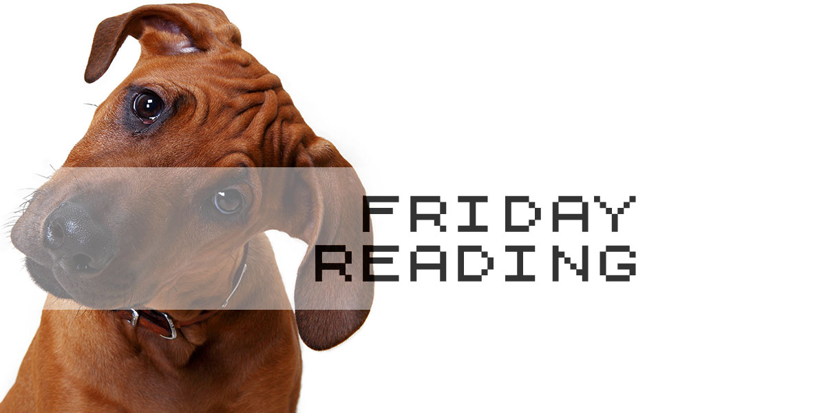 Friday Reading 11/11/2016