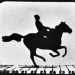 Eadweard Muybridge's The Horse in Motion