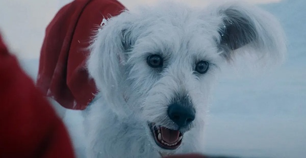 A one-line spoiler-free review of everything I watched in the cinema in July 2025