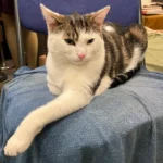 Friday Reading S14E14